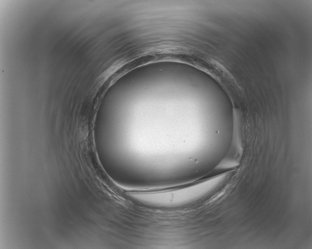 X0000056321065200509231941
