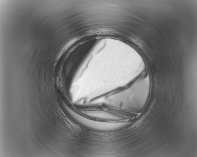 X0000056321066200509231941