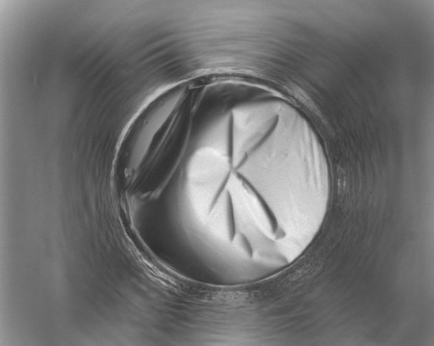 X0000056321068200509231940