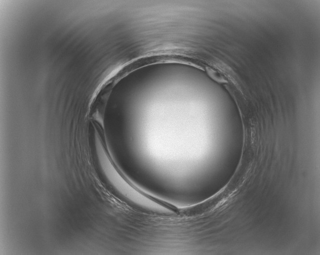 X0000056321069200509231940