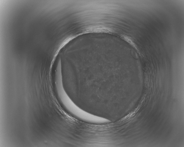 X0000056321071200509231940