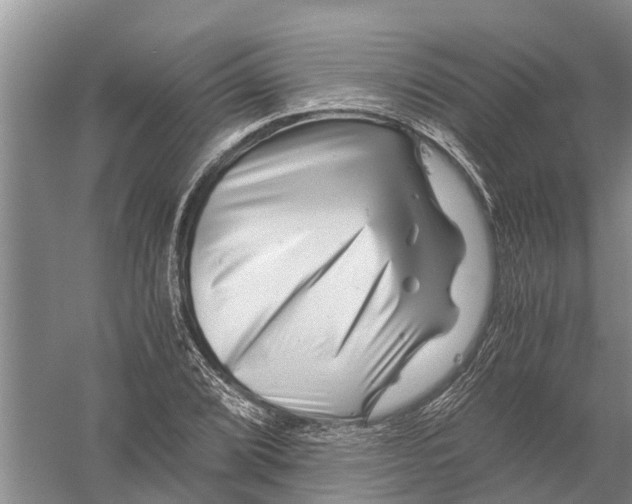 X0000056321072200509231940