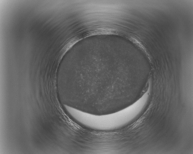 X0000056321081200509231940