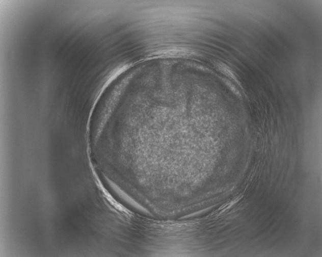 X0000056321087200509231940
