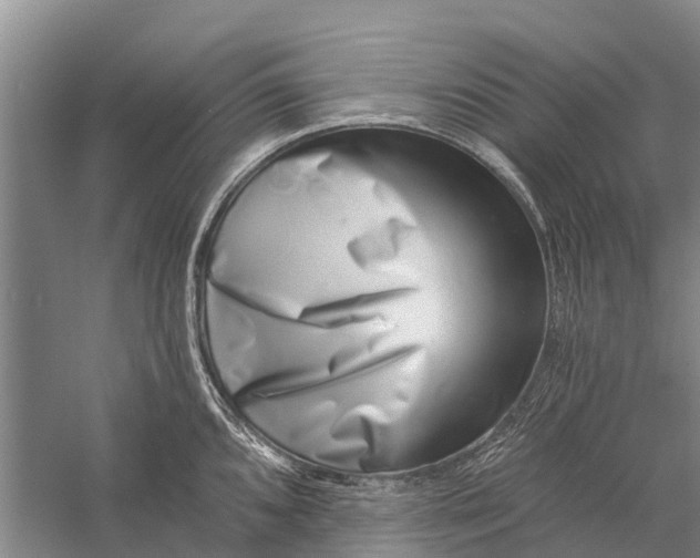 X0000056321096200509231940