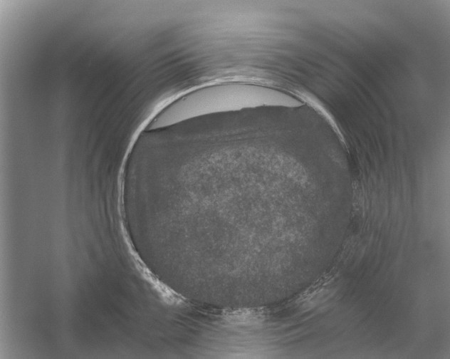 X0000056321099200509231940