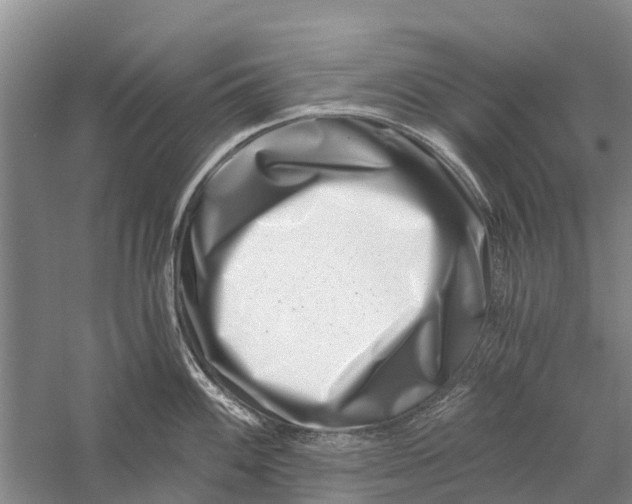 X0000056321100200509231940