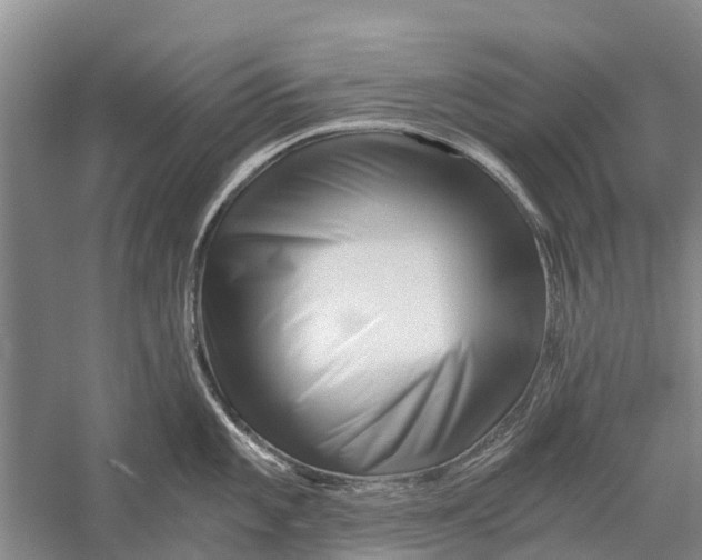 X0000056321101200509231940