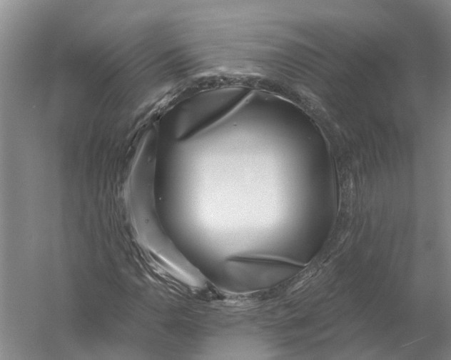 X0000056321110200509231939