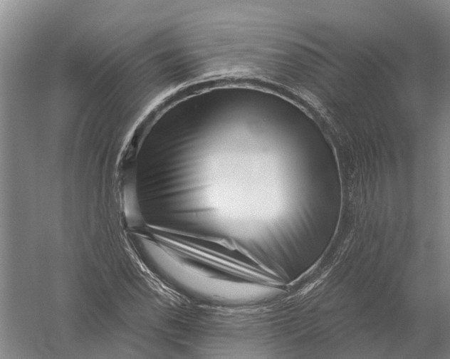X0000056321118200509231939
