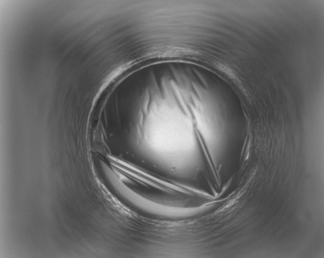 X0000056321122200509231939