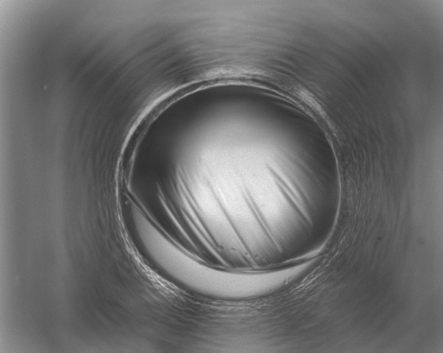 X0000056321124200509231939