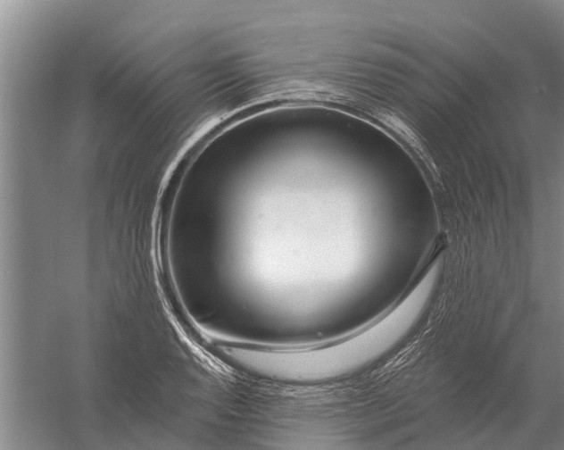 X0000056321128200509231939