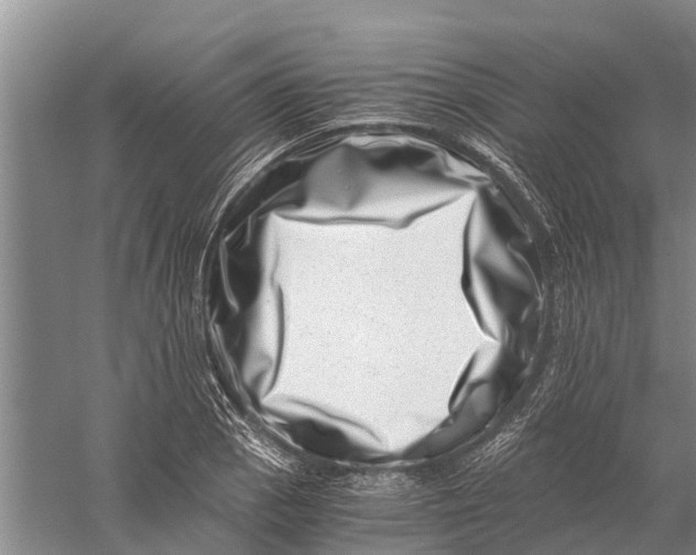 X0000056321129200509231939