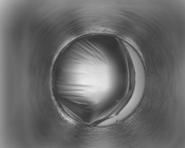 X0000056321136200509231940