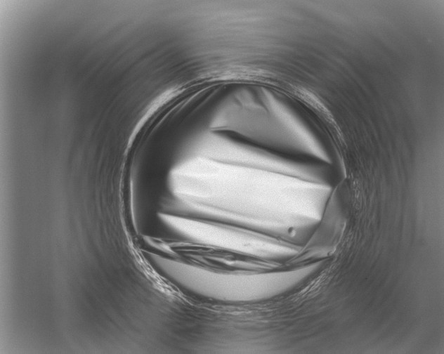 X0000056321138200509231940