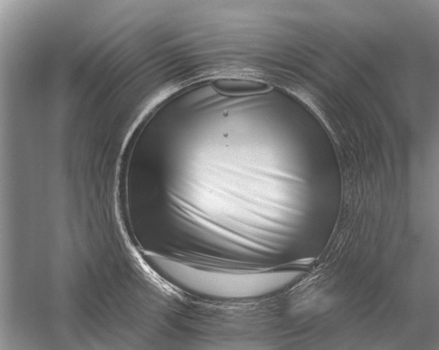 X0000056321139200509231940