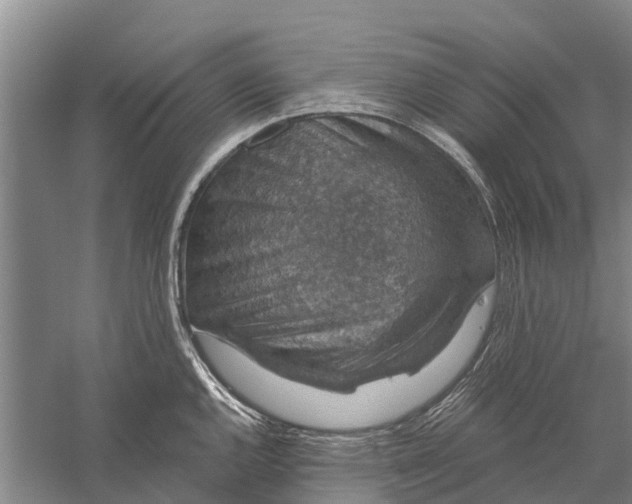 X0000056321144200509231940