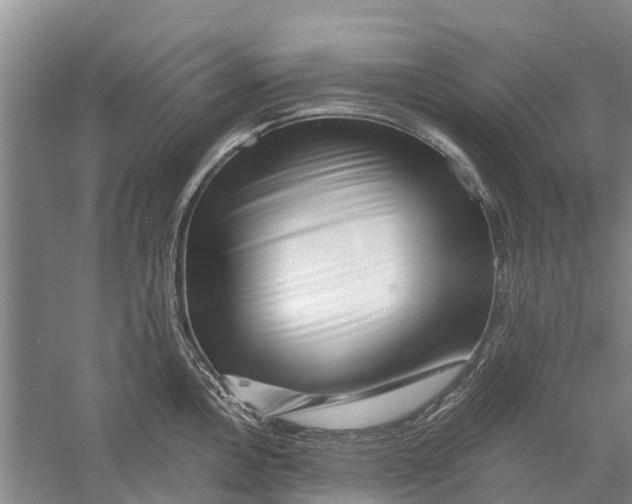 X0000056321146200509231940