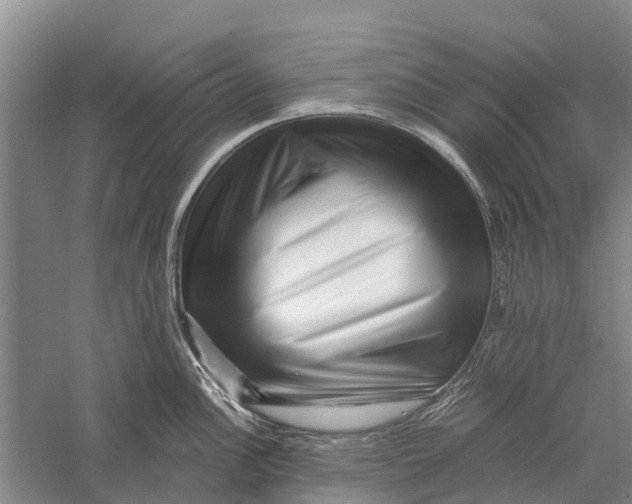 X0000056321148200509231940