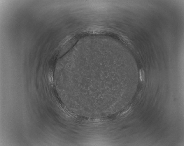 X0000056321155200509231939