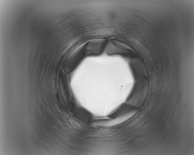 X0000056321162200509231939