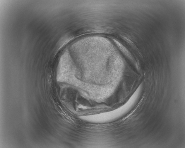 X0000056321163200509231939