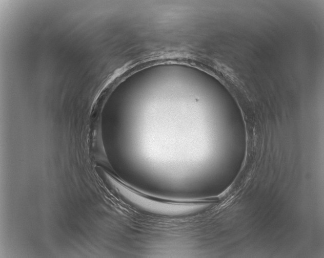 X0000056321165200509231939