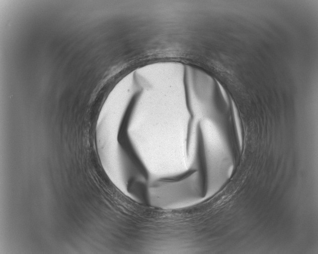 X0000056321166200509231939