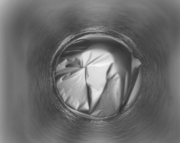 X0000056321168200509231939