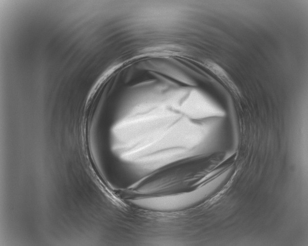 X0000056321196200509231938