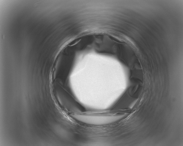 X0000056321198200509231938