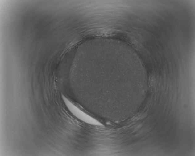 X0000056321202200509231937