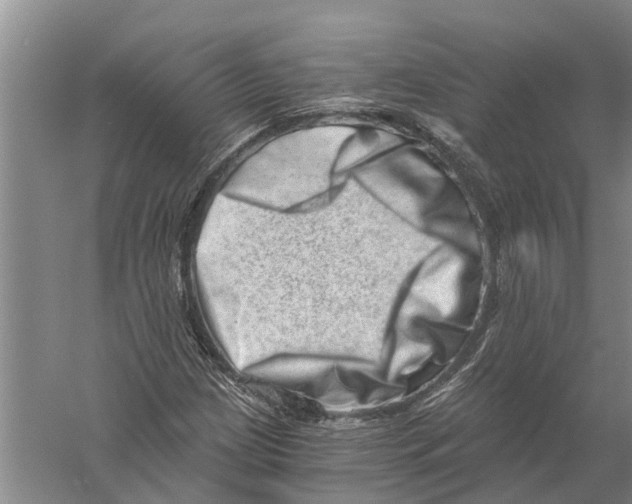 X0000056321209200509231938