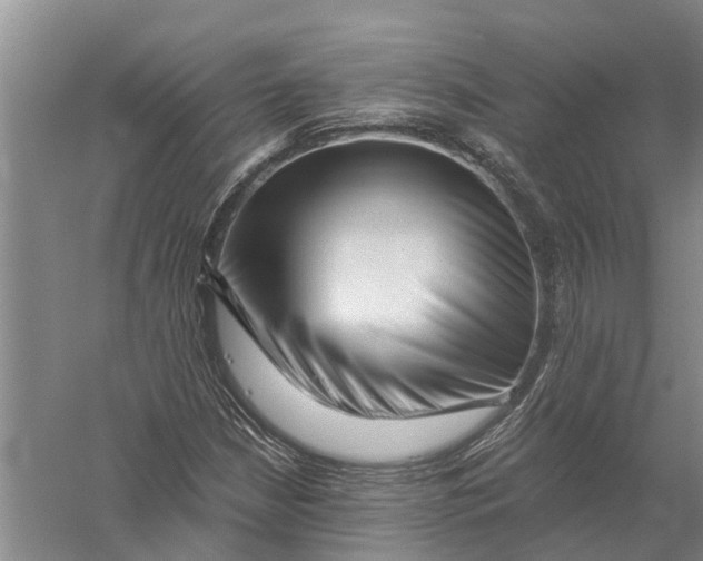 X0000056321210200509231938