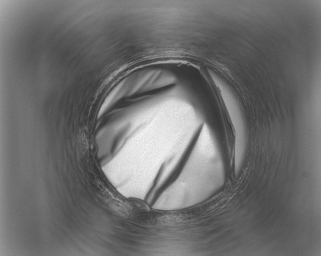 X0000056321212200509231938