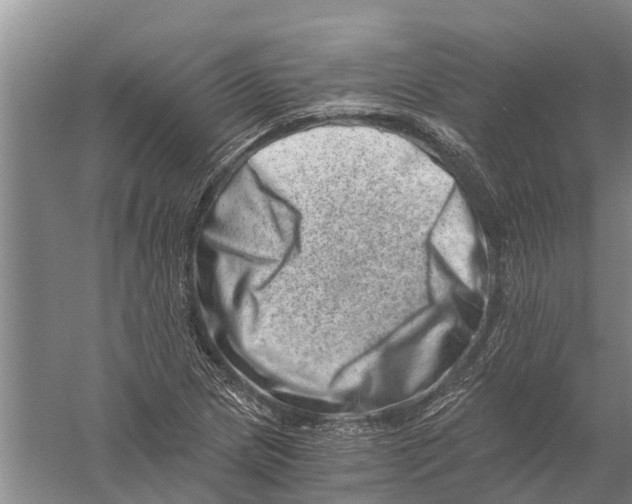 X0000056321217200509231938