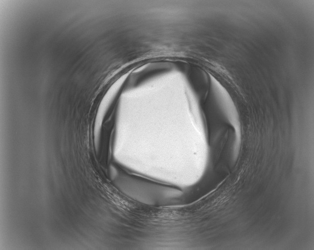 X0000056321220200509231938