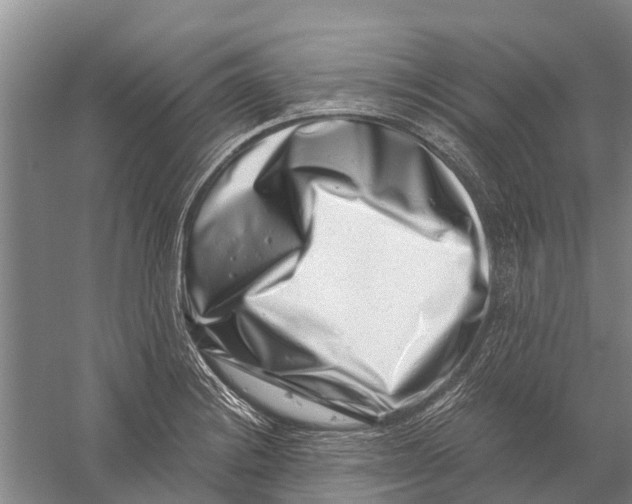 X0000056321228200509231938