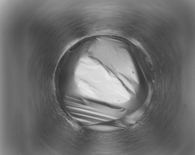 X0000056321230200509231938