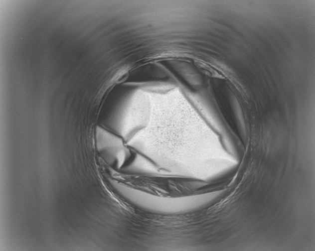 X0000056321241200509231938