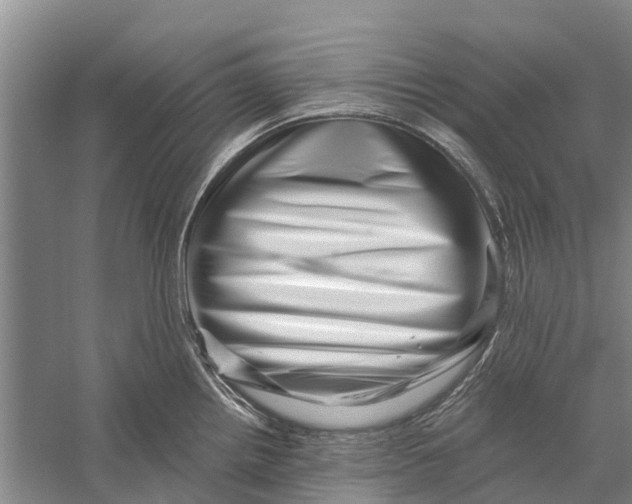 X0000056321242200509231938