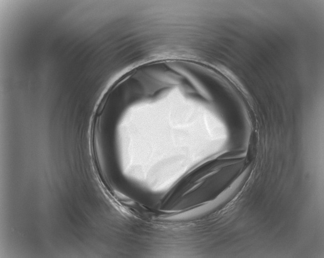 X0000056321246200509231938