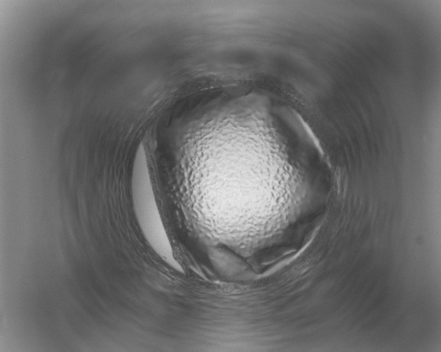 X0000056321251200509231937