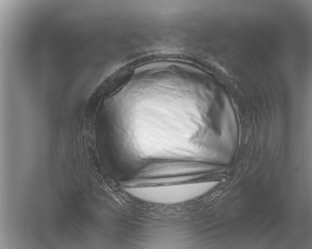 X0000056321255200509231937