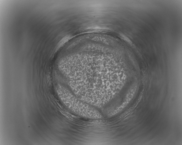 X0000056321259200509231937