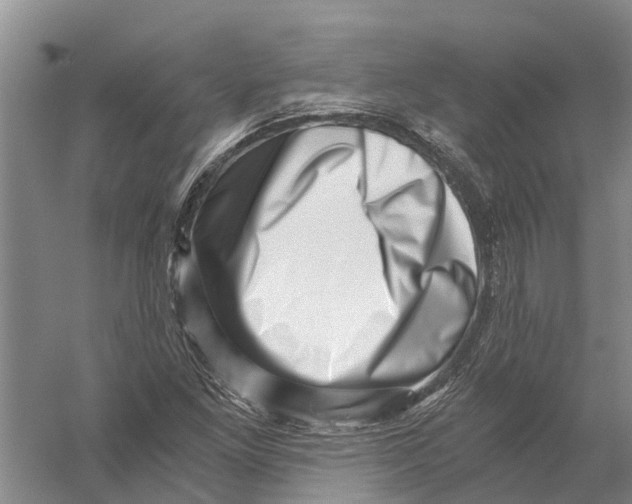 X0000056321261200509231937