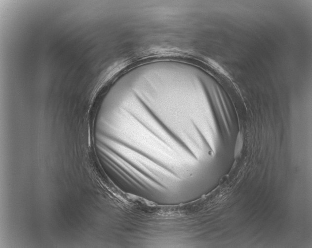 X0000056321269200509231937