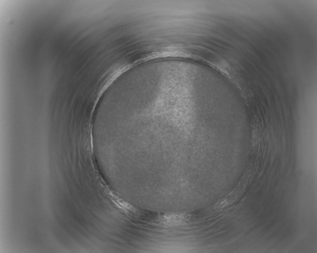 X0000056321274200509231937