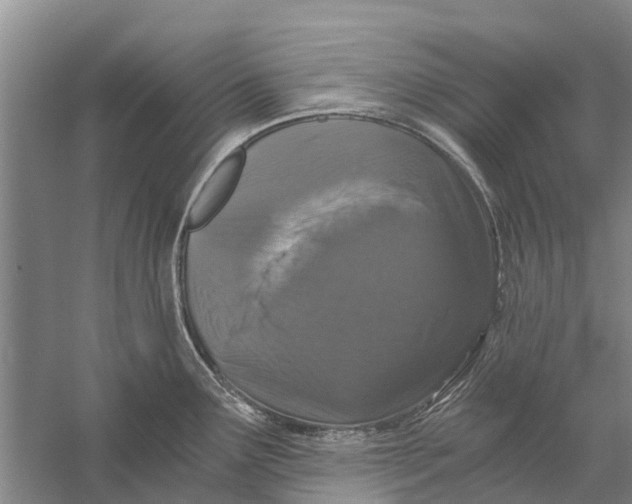 X0000056321291200509231937